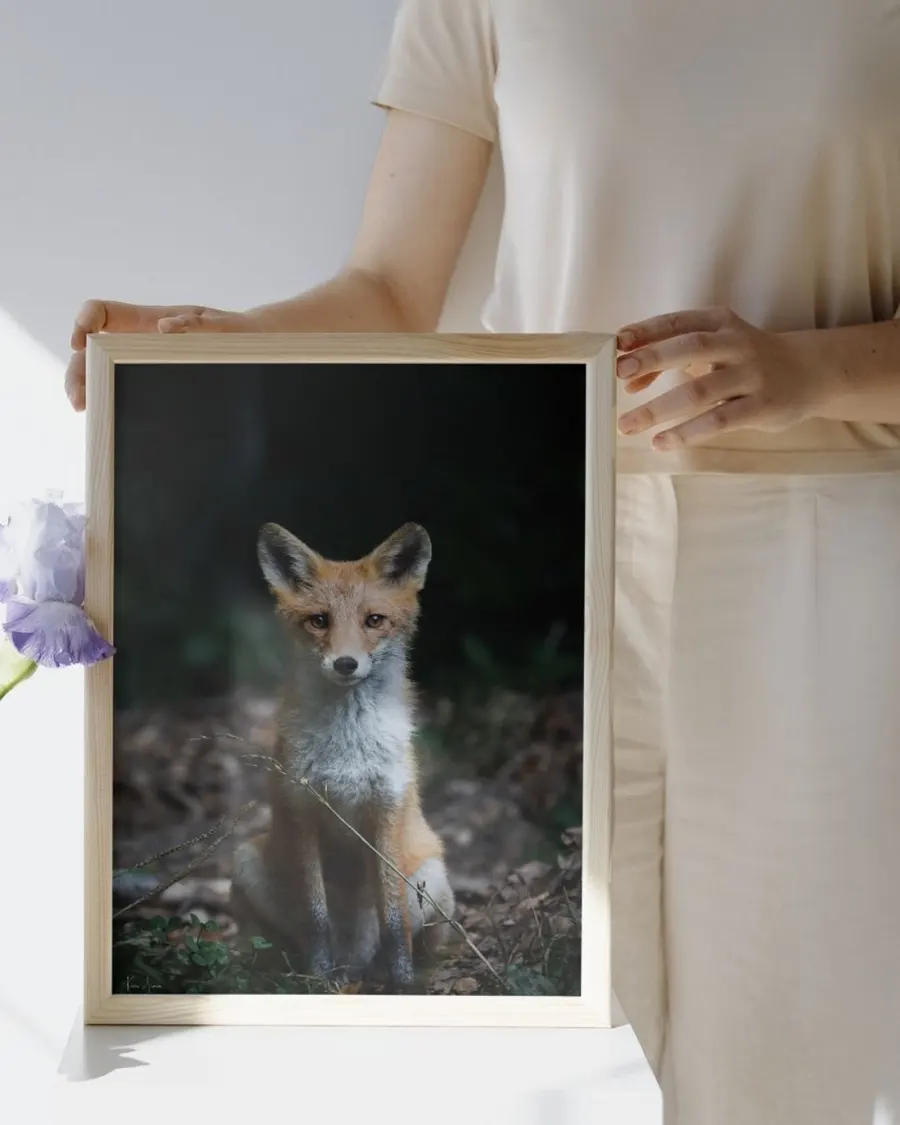 Tirage d’art d’un renard présenté dans un cadre