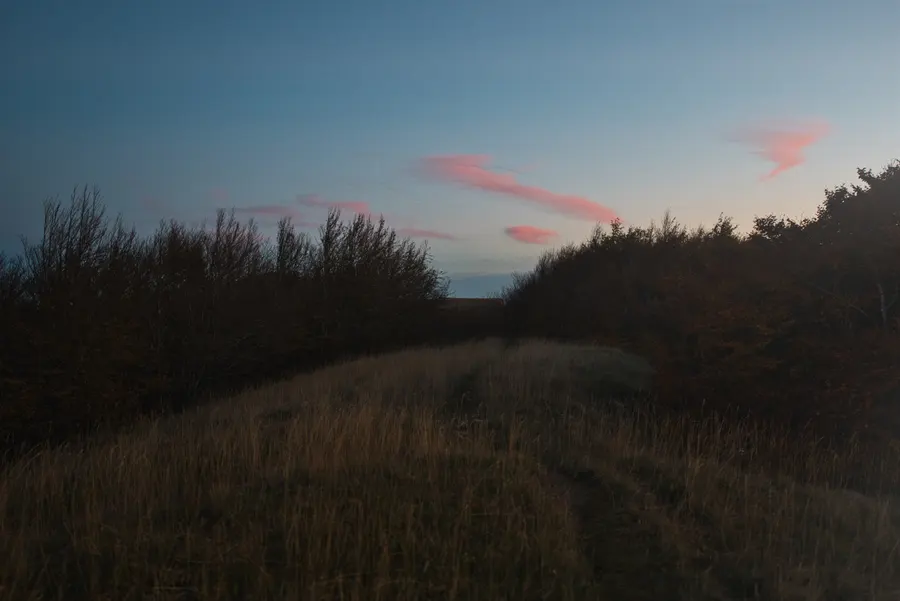 Lueur rose de l’aube au-dessus d’une prairie d’altitude