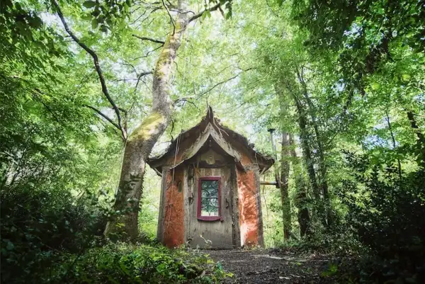 Une petite cabane en bois nichée dans la forêt